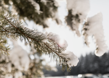 Гидрометцентр: в России предстоящая зима будет холоднее предыдущей Гидрометцентр: в России предстоящая зима будет холоднее предыдущей