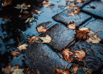 Синоптик Ильин: россиян ждут испытания дождем и мокрым снегом на текущей неделе Синоптик Ильин: россиян ждут испытания дождем и мокрым снегом на текущей неделе