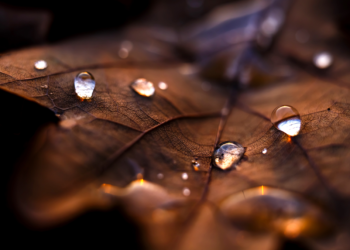 В среду в Рязанской области ожидается небольшой дождь и до +9 градусов В среду в Рязанской области ожидается небольшой дождь и до +9 градусов