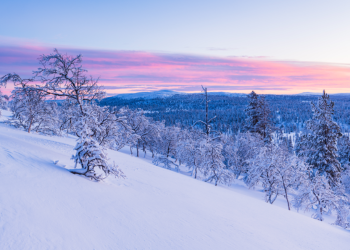 Вильфанд предупредил россиян о выпадении снега на текущей неделе Вильфанд предупредил россиян о выпадении снега на текущей неделе