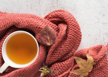 Вильфанд: середина ноября в Центральной России будет теплой