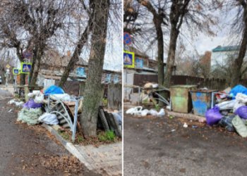 Рязанка пожаловалась на неубранный мусор в центре города