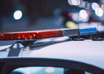 12 ноября на рязанских дорогах пройдут рейды по выявлению заведомо подложных госномеров