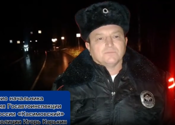 В Касимовском районе произошло смертельное ДТП