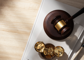 Актрису Яну Троянову* заочно приговорили к 8 годам колонии по делу о призывах к терроризму