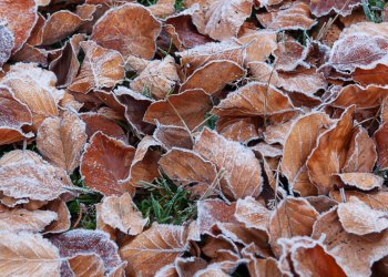 Синоптик Позднякова дала прогноз на предстоящие выходные в Центральной России