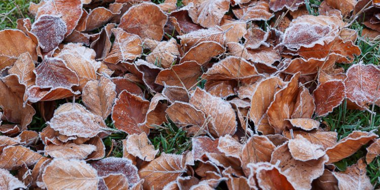 Синоптик Позднякова дала прогноз на предстоящие выходные в Центральной России Синоптик Позднякова дала прогноз на предстоящие выходные в Центральной России