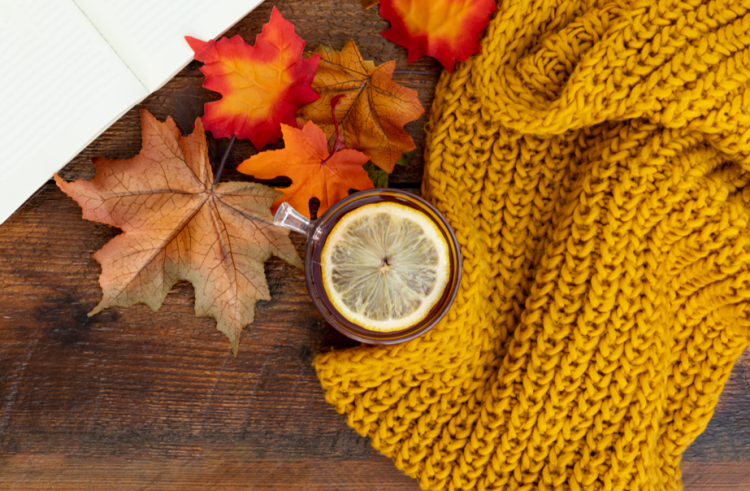 Метеоролог Вильфанд: на территории России установилась теплая погода