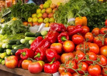 С начала 2025 года за незаконную торговлю оштрафовали 1922 рязанца