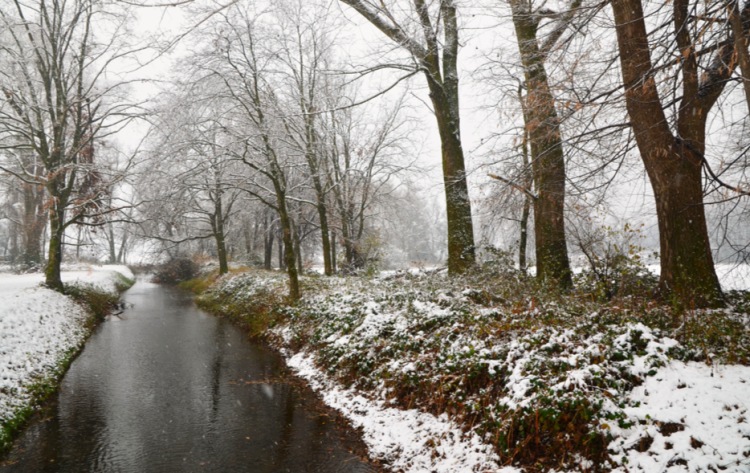 В субботу в Рязанской области ожидается дождь, мокрый снег и до +9 градусов