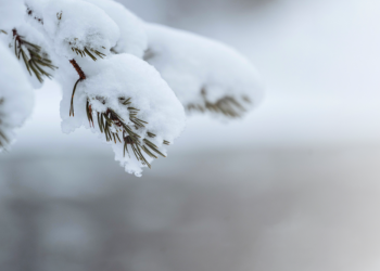 Вильфанд: холодная снежная зима придет в Центральную Россию не предвидится до конца ноября