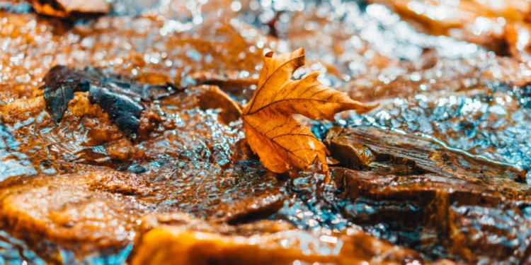 В ночь на вторник в Рязанской области похолодает до -6 градусов