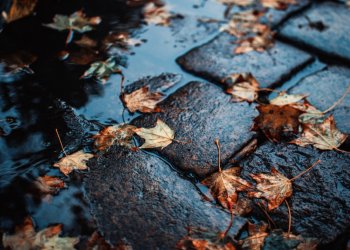 В пятницу в Рязанской области ожидается дождь и до +9 градусов В пятницу в Рязанской области ожидается дождь и до +9 градусов