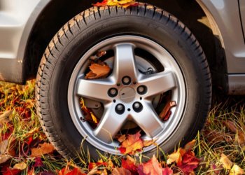 С начала 2025 года в Рязани за парковку в зеленой зоне оштрафовали 11 456 водителей