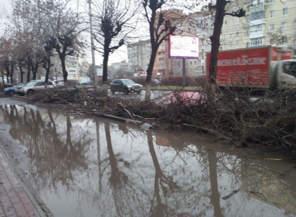 Рязанец пожаловался на оставленные после спиливания ветки