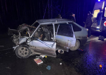 В ДТП в Клепиковском районе погиб 48-летний водитель, два человека пострадали