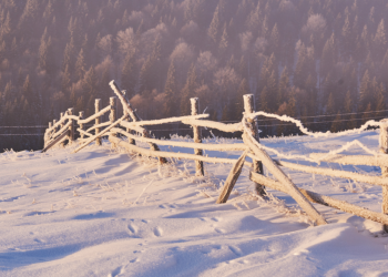 Леус: «холодное вторжение» в Центральной России ожидается к концу декабря
