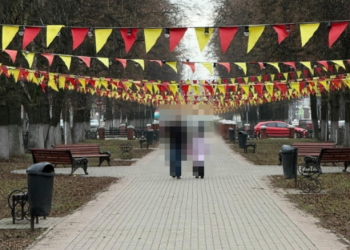 Рязанец остался недоволен гирляндами, которые свисают слишком низко