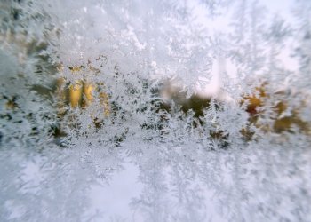 В Рязанском регионе объявлен желтый уровень погодной опасности