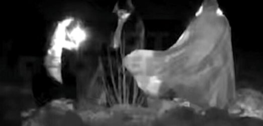 В рязанском лесу фотоловушка засняла пугающие обряды людей у костра