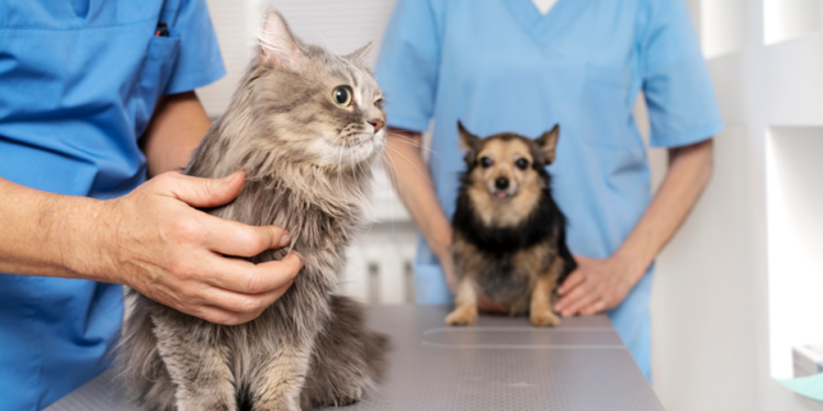 Малков: 25 декабря в рязанском Спасске откроется новая ветеринарная станция