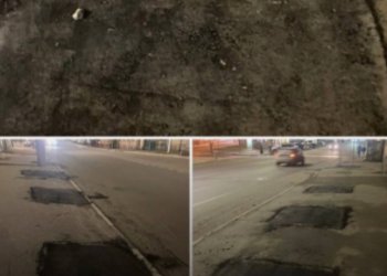 На улице Горького места для высадки деревьев заасфальтировали