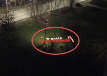 Жители домов по улице Бирюзова пожаловались на огромную стаю собак