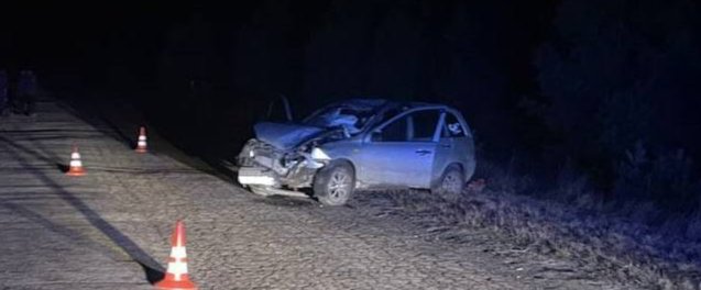 В Кадомском районе пьяный водитель насмерть сбил 11-летнюю девочку и ее отца