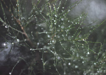 Метеоролог Михаил Леус дал прогноз на текущую неделю в Центральной России