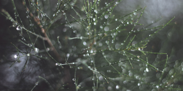 Метеоролог Михаил Леус дал прогноз на текущую неделю в Центральной России