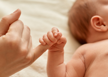 В ноябре в Рязани на свет появились Елисей, Филипп, Купава и Мика В ноябре в Рязани на свет появились Елисей, Филипп, Купава и Мика