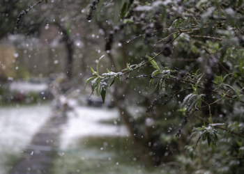 В четверг в Рязанской области ожидается мокрый снег и до +3 градусов В четверг в Рязанской области ожидается мокрый снег и до +3 градусов