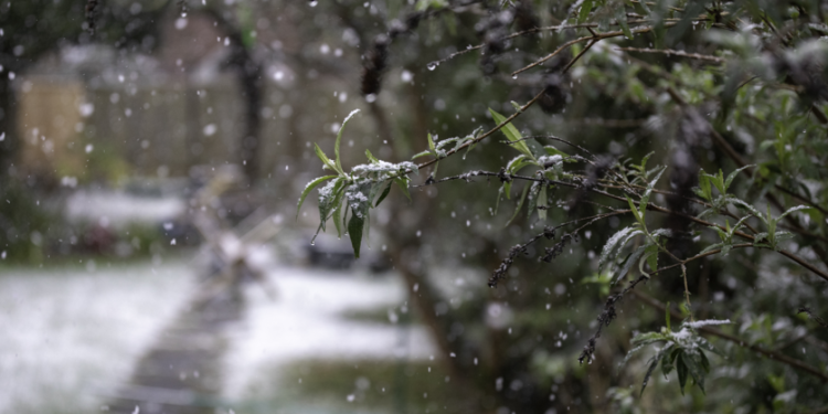 В четверг в Рязанской области ожидается мокрый снег и до +3 градусов
