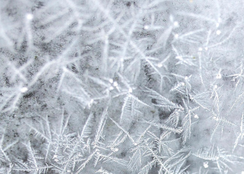 Тишковец: снег и морозы вернутся в Центральную Россию в предновогоднюю неделю Тишковец: снег и морозы вернутся в Центральную Россию в предновогоднюю неделю