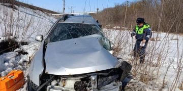 В Рязанской области под поездом погибли двое