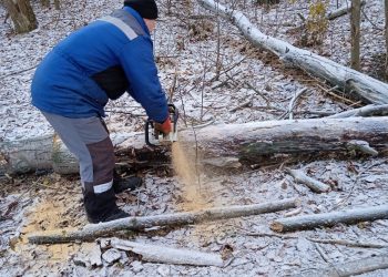 Из рязанского Мемориального парка Славы Дальней Авиации вывезли спиленные деревья