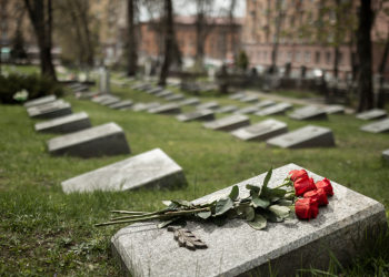 Рязанка сообщила губернатору Малкову о заброшенной могиле кубинца, который погиб на СВО Рязанка сообщила губернатору Малкову о заброшенной могиле кубинца, который погиб на СВО