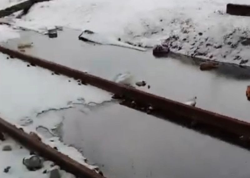 В администрации прокомментировали информацию о сливе нечистот в рязанском Шлаковом В администрации прокомментировали информацию о сливе нечистот в рязанском Шлаковом