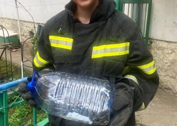 В Рязани волонтеры поймали змею возле жилых домов В Рязани волонтеры поймали змею возле жилых домов