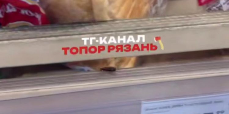 В рязанском гипермаркете на полке с хлебом заметили таракана