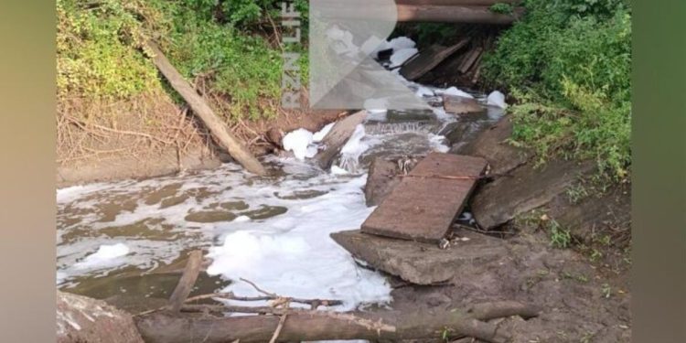 Рязанцы заметили густую пену в ручье в реке Трубеж