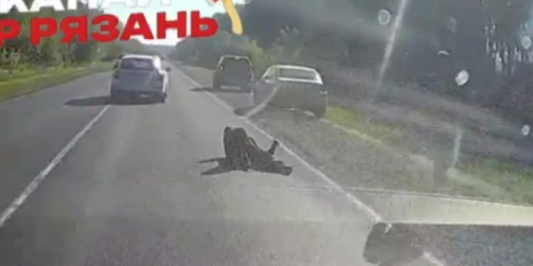 На Ряжском шоссе сбили человека На Ряжском шоссе сбили человека
