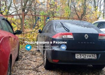 На улице Новаторов сухое дерево упало на припаркованные автомобили На улице Новаторов сухое дерево упало на припаркованные автомобили