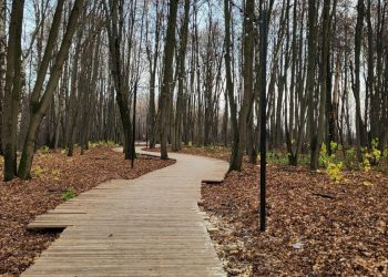 Рязанцы переживают, что новую экотропу в Лесопарке может смыть во время весеннего паводка Рязанцы переживают, что новую экотропу в Лесопарке может смыть во время весеннего паводка