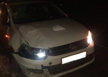 В Захаровском районе 47-летний водитель насмерть сбил девушку-пешехода