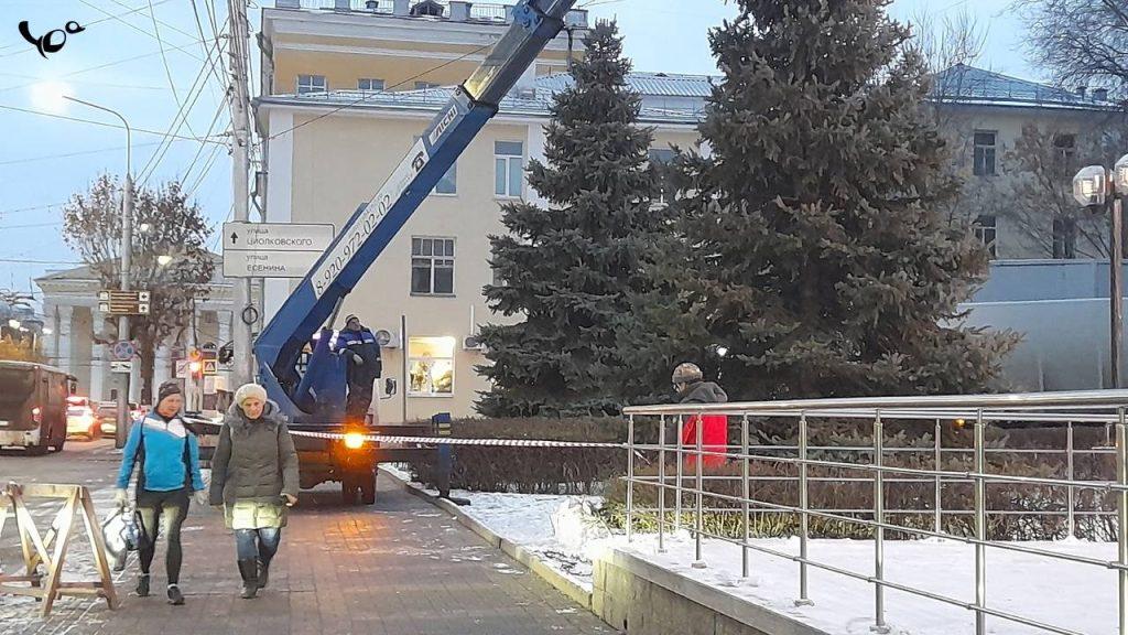 В центре Рязани украшают новогодние елки