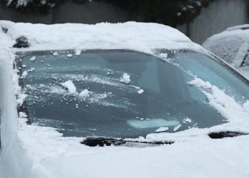 Водителей рязанских маршруток обязали объявлять остановки