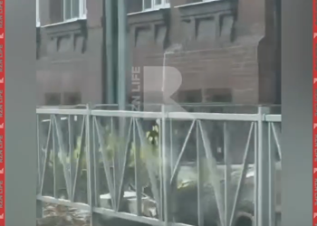 Горожане пожаловались на спил здоровых деревьев в центре Рязани