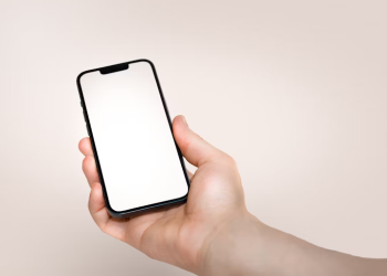 Жителей Рязанской области предупредили о фейковых чатах от зампредов регионального правительства Жителей Рязанской области предупредили о фейковых чатах от зампредов регионального правительства