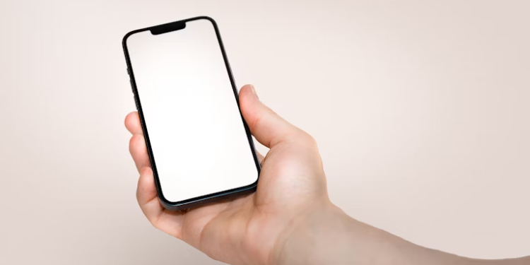 Жителей Рязанской области предупредили о фейковых чатах от зампредов регионального правительства Жителей Рязанской области предупредили о фейковых чатах от зампредов регионального правительства